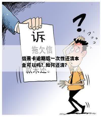 信用卡逾期后一次性还清本金可以吗？如何还清？