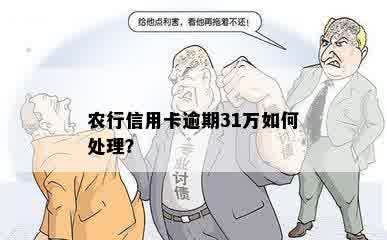 农行信用卡逾期31万如何处理？