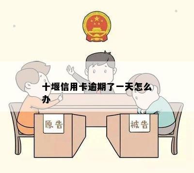 十堰信用卡逾期了一天怎么办