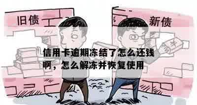 信用卡逾期冻结了怎么还钱啊，怎么解冻并恢复使用