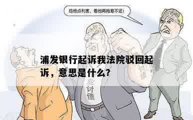 浦发银行起诉我法院驳回起诉，意思是什么？