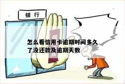 怎么看信用卡逾期时间多久了没还款及逾期天数