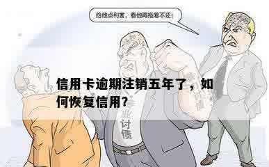 信用卡逾期注销五年了，如何恢复信用？