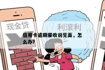 信用卡逾期催收说见面，怎么办？