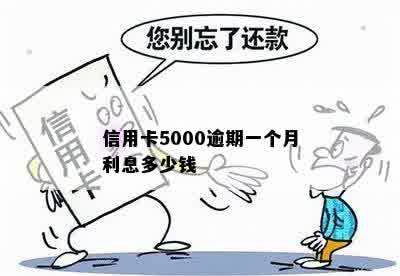 信用卡5000逾期一个月利息多少钱