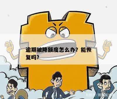 逾期被降额度怎么办？能恢复吗？