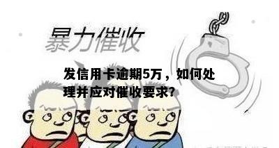 发信用卡逾期5万，如何处理并应对催收要求？