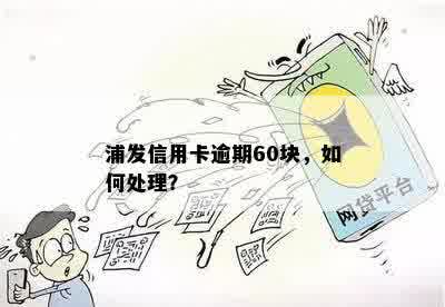 浦发信用卡逾期60块，如何处理？