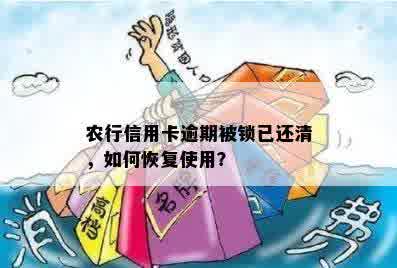 农行信用卡逾期被锁已还清，如何恢复使用？