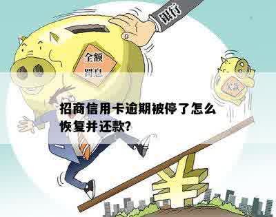 招商信用卡逾期被停了怎么恢复并还款？