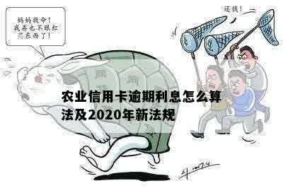 农业信用卡逾期利息怎么算法及2020年新法规