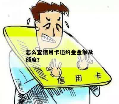 怎么查信用卡违约金金额及额度？