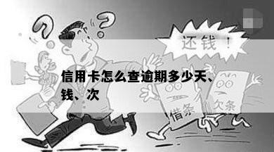 信用卡怎么查逾期多少天、钱、次