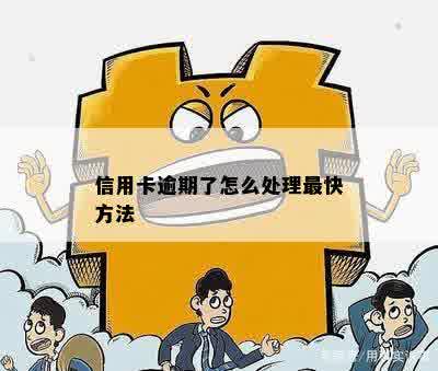 信用卡逾期了怎么处理最快方法