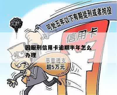 因服刑信用卡逾期半年怎么办理