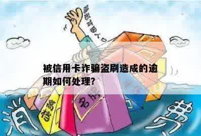 被信用卡诈骗盗刷造成的逾期如何处理？