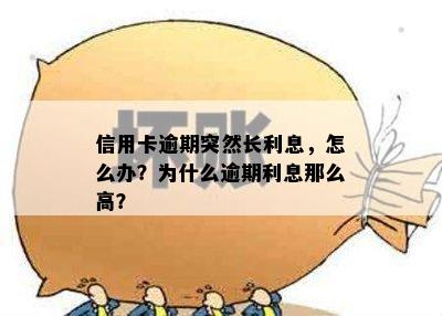 信用卡逾期突然长利息，怎么办？为什么逾期利息那么高？