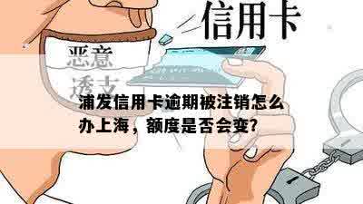 浦发信用卡逾期被注销怎么办上海，额度是否会变？