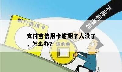 支付宝信用卡逾期了人没了，怎么办？