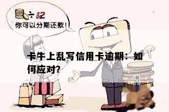 卡牛上乱写信用卡逾期：如何应对？