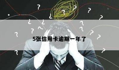 5张信用卡逾期一年了