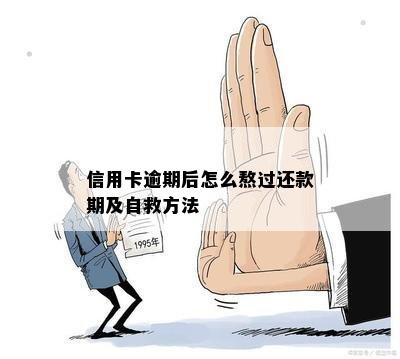 信用卡逾期后怎么熬过还款期及自救方法