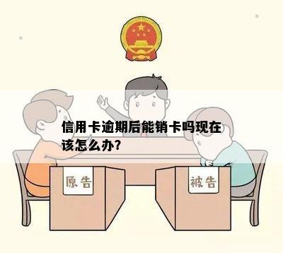 信用卡逾期后能销卡吗现在该怎么办？