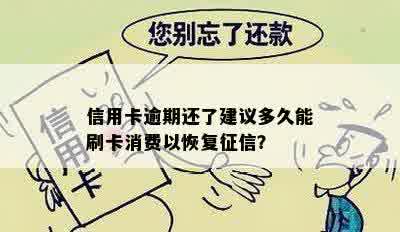 信用卡逾期还了建议多久能刷卡消费以恢复征信？