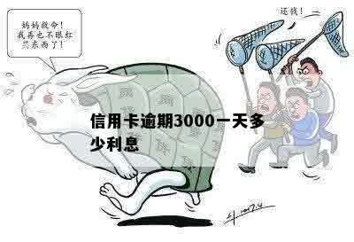 信用卡逾期3000一天多少利息