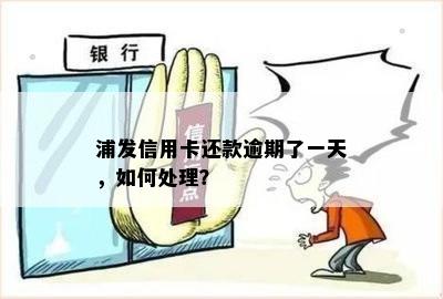 浦发信用卡还款逾期了一天，如何处理？