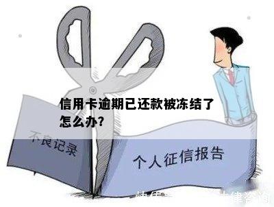 信用卡逾期已还款被冻结了怎么办？