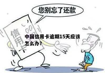 中国信用卡逾期15天应该怎么办？