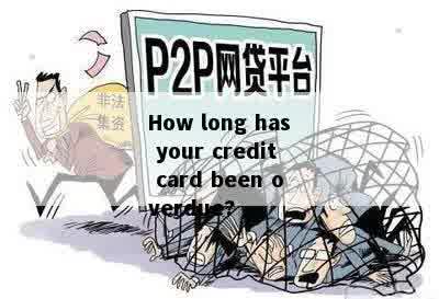 How long has your credit card been overdue?