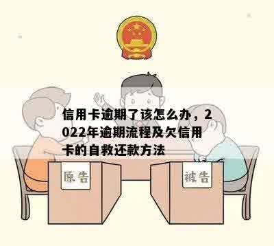 信用卡逾期了该怎么办，2022年逾期流程及欠信用卡的自救还款方法