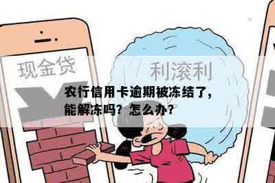 农行信用卡逾期被冻结了,能解冻吗？怎么办？