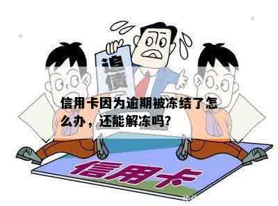 信用卡因为逾期被冻结了怎么办，还能解冻吗？