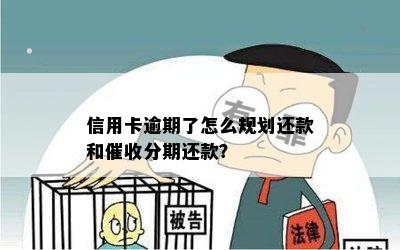 信用卡逾期了怎么规划还款和催收分期还款？