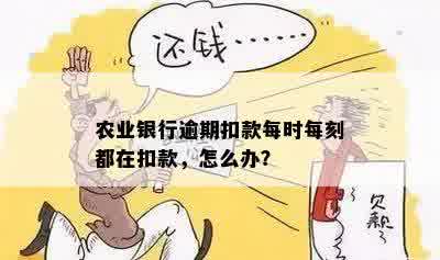 农业银行逾期扣款每时每刻都在扣款，怎么办？