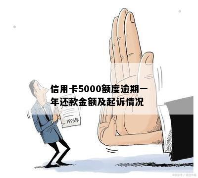 信用卡5000额度逾期一年还款金额及起诉情况