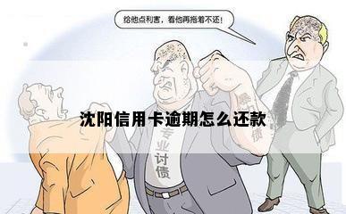 沈阳信用卡逾期怎么还款