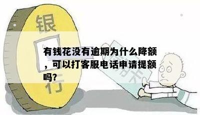 有钱花没有逾期为什么降额，可以打客服电话申请提额吗？