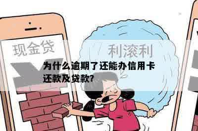 为什么逾期了还能办信用卡还款及贷款？