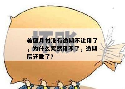 美团月付没有逾期不让用了，为什么突然用不了，逾期后还款了？