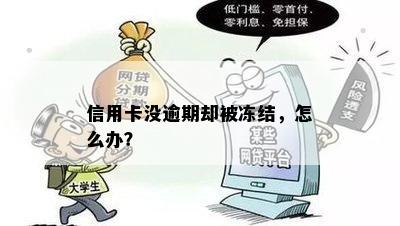 信用卡没逾期却被冻结，怎么办？