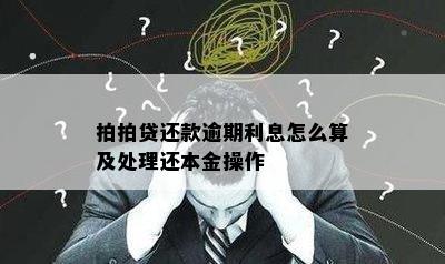 拍拍贷还款逾期利息怎么算及处理还本金操作