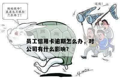 员工信用卡逾期怎么办，对公司有什么影响？