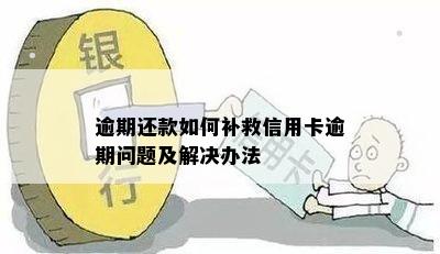 逾期还款如何补救信用卡逾期问题及解决办法