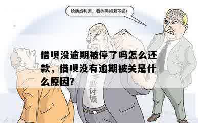 借呗没逾期被停了吗怎么还款，借呗没有逾期被关是什么原因？