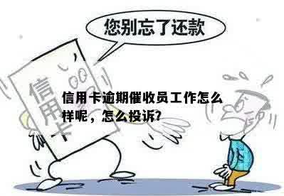 信用卡逾期催收员工作怎么样呢，怎么投诉？