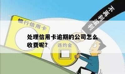 处理信用卡逾期的公司怎么收费呢？